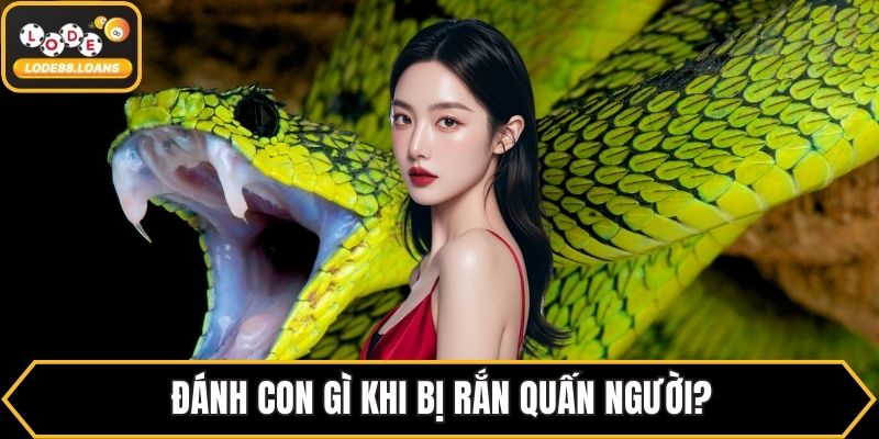 Đánh con gì khi bị rắn quấn người?
