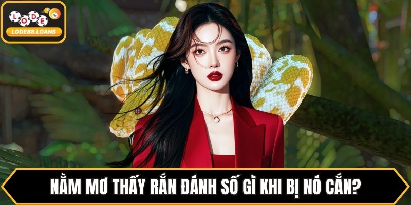 Nằm mơ thấy rắn đánh số gì khi bị nó cắn?